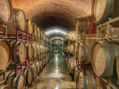 Thumbnail Donde el mar se encuentra con las viñas - De bodega en bodega por los distritos de Lagos, Portimão y Lagoa