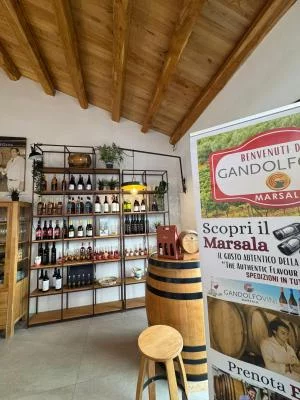 Thumbnail Tour and Tasting: Gandolfo Wines and Olive Oil in Marsala
