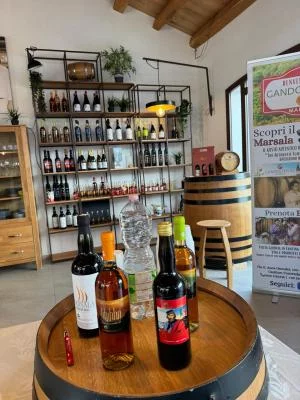 Thumbnail Tour e degustazione: Vini e olio d'oliva di Gandolfo a Marsala