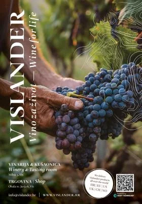 Thumbnail La storia di Vislander - Degustazione di vino con 3 vini alla cantina Vislander