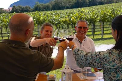 Thumbnail Degustazione guidata di vini in due cantine in Valpolicella e Soave