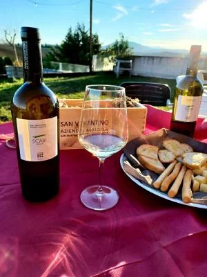 Thumbnail Rimini : Wine experience - Visite guidée des caves et des vignobles avec 5 vins DOC