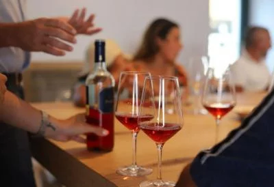 Thumbnail Wine experience di Trani e visita guidata di un giorno da Bari o Matera
