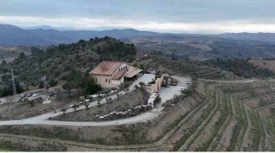 Thumbnail Promenade dans le vignoble et dégustation de vin à Buil Giné dans le Priorat