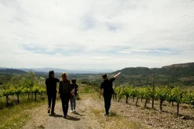 Thumbnail Paseo por los viñedos y cata de vinos en Buil Giné, Priorat
