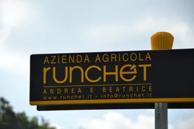 Thumbnail Dégustation de vin et visite "Nos Blancs" à l'Azienda Agricola Runchet dans les Langhe