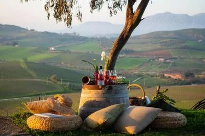 Thumbnail Descubriendo Sallier de la Tour: Visita a la finca y cata de vinos y aceite de oliva