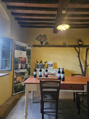 Thumbnail Identity Wine experience en Pian del Pino, Valdarno