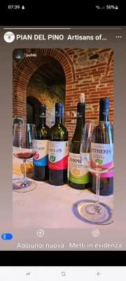 Thumbnail Identità Wine Experience presso Pian del Pino in Valdarno