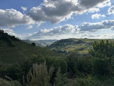 Thumbnail Apéritif entre Langhe et Monferrato chez Azienda Agricola Fea