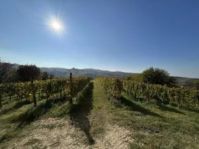 Thumbnail Aperitivo entre Langhe y Monferrato en Azienda Agricola Fea