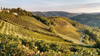 Thumbnail Apéritif entre Langhe et Monferrato chez Azienda Agricola Fea