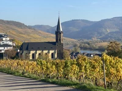 Thumbnail Mosel Weinbergspaziergang &amp; Weinprobe im Weingut Gindorf