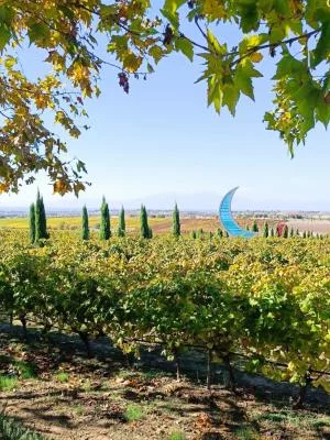 Thumbnail Private Gerovassiliou Winery Tour & Tasting in Thessaloniki with Transportation