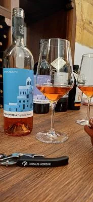Thumbnail Vins indigènes et saveurs tavolières : Visite du vignoble et dégustation au Domus Hortae