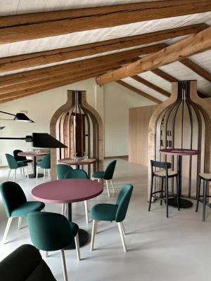 Thumbnail Vinos y Entorno: Visita a la bodega y cata en Terre del Creario, en el Alto Canavese