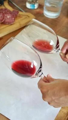 Thumbnail Cata rápida de vinos en Agricola Molino en Langhe