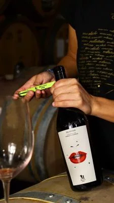 Thumbnail Vins de Langa - Dégustation de vins à l'Agricola Molino