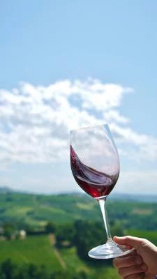 Thumbnail Vinos Langa - Cata de vinos en Agrícola Molino