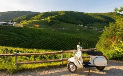 Thumbnail Tour in Vespa in stile classico da Firenze a Fiesole con degustazione di olio d'oliva - Tour per piccoli gruppi