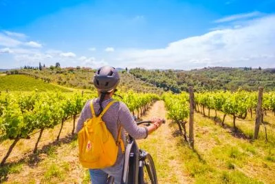 Thumbnail Tour in e-bike delle Colline del Chianti da Firenze con esperienza in fattoria, pranzo e degustazione di vini inclusi
