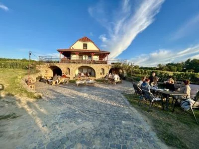 Thumbnail Organic Wine Tasting with Cellar Visit at Víno Hladký in Skalica