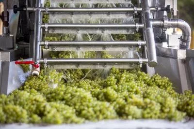 Thumbnail Degustazione e tour della cantina "Zampognaro" a Pojer e Sandri