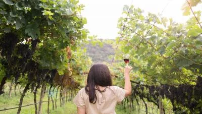 Thumbnail Ruta del Vino de Montepulciano y Montalcino con Almuerzo desde Florencia