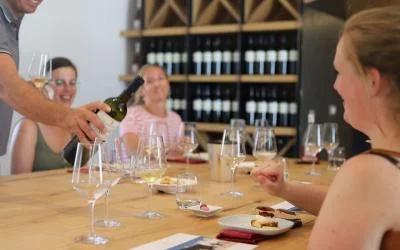 Thumbnail Castel del Monte & Trani Wine Experience from Bari or Matera