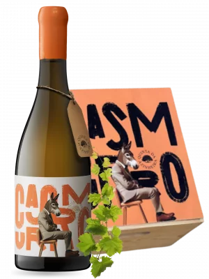 Thumbnail Degustazione guidata di vini presso Quinta D'Azinheira