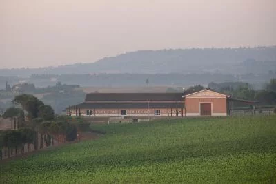 Thumbnail Wine Tasting Experience at Carpineto Winery in Montepulciano
