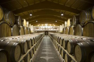 Thumbnail Degustazione di vini presso la Cantina Carpineto a Montepulciano