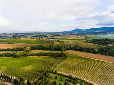 Thumbnail Weinprobe auf dem Weingut Carpineto in Montepulciano