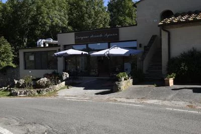 Thumbnail Esperienza di allevamento di maiali presso l'Azienda Agraria di Scorgiano con vino e prodotti locali