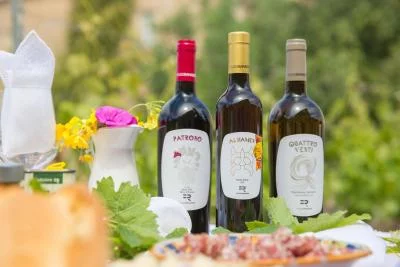 Thumbnail Il banchetto dei vignaioli e il tour delle cantine presso Ramaddini