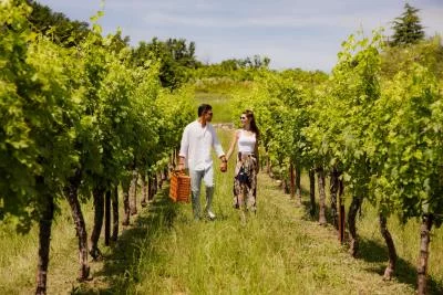 Thumbnail Cantina Spolert - Picnic nel vigneto a Prepotto