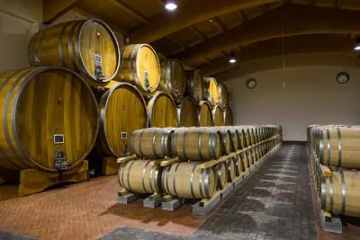 Thumbnail Montepulciano - Experiencia de picnic en un viñedo toscano con vino Carpineto y delicias locales