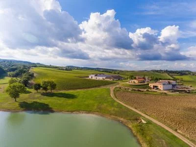 Thumbnail Montepulciano - pique-nique dans un vignoble toscan avec du vin Carpineto et des spécialités locales
