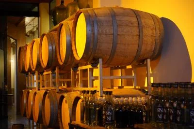 Thumbnail L'esperienza Daroca: Degustazione di vini d'alta quota, Singañac e Gourmet