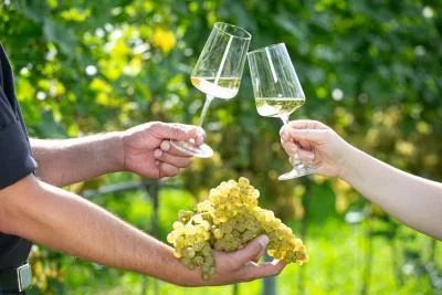 Thumbnail Degustazione di vini con merenda del produttore presso la Weingut Greindl in Alta Austria