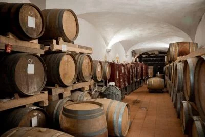 Thumbnail Degustazione di vino e stuzzichini all’Agricola Frascole