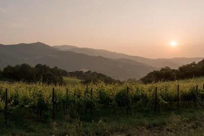 Thumbnail Cata de vinos y aperitivos en Agricola Frascole
