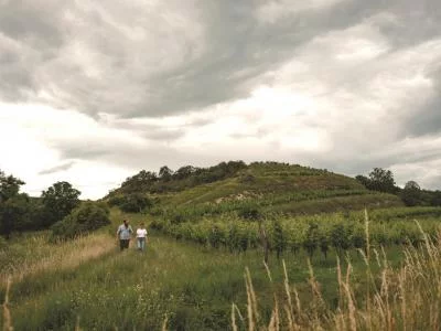 Thumbnail Historic Cellar Tour & Wine Tasting at Kitla Winery, Weinviertel