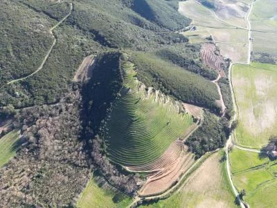 Thumbnail Wine Tasting and Vineyard Tour at Domaine a Teppa in Patrimonio