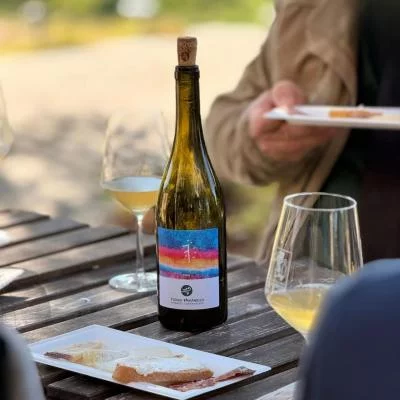 Thumbnail Dove nasce il vino - Poggio Baranèllo: Passeggiata nei vigneti e degustazione di vini naturali nel cuore della Tuscia