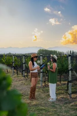 Thumbnail Visita guiada al viñedo y cata de vinos en la Bodega Raffy, Valle de Uco