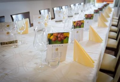 Thumbnail Degustazione di vino presso la cantina Figula vicino al lago Balaton