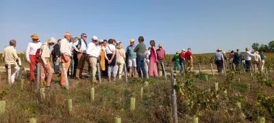 Thumbnail Visita a los viñedos y cata de vinos en el Domaine du Château de Viviers en Chablis