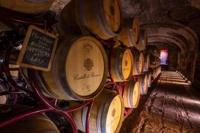 Thumbnail Experiencia Di-Vino al Mediodía en el Castello di Razzano