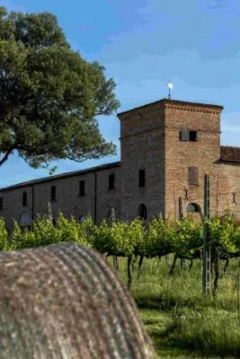 Thumbnail Winery Experience with 4 Wines & Local Appetizers at Cantine Spalletti